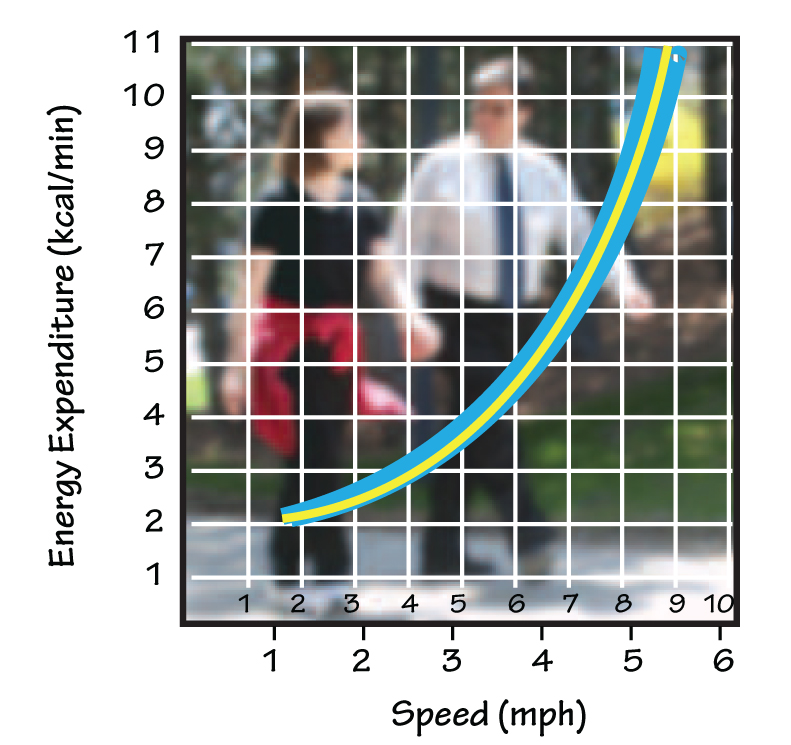 ESCALATING ENERGY EXPENDITURE