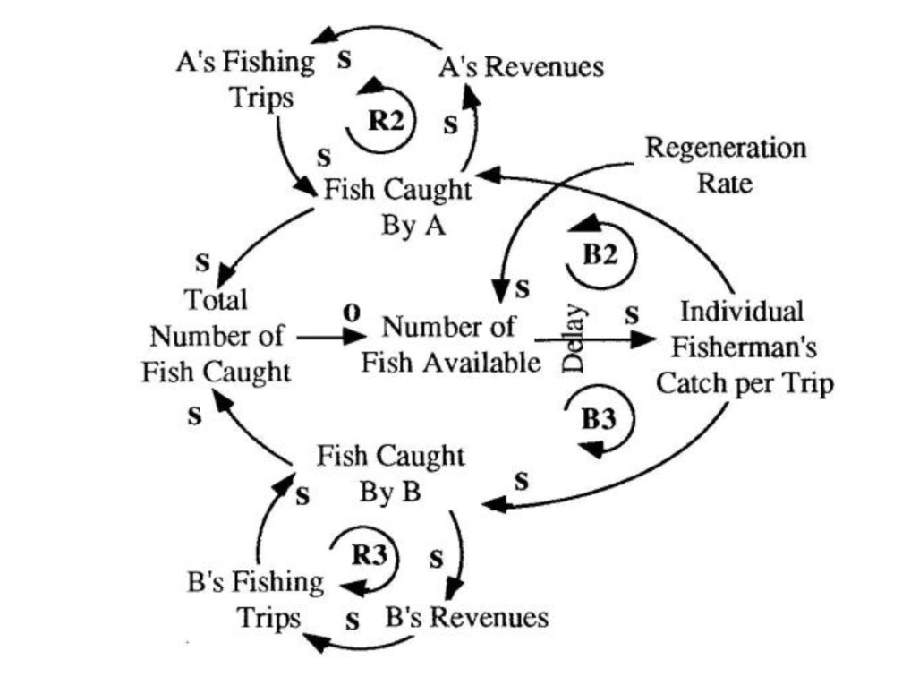 Tragedy of the Fishing Grounds
