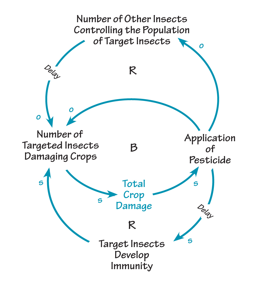 INSECTS DEVELOP IMMUNITY OVER TIME