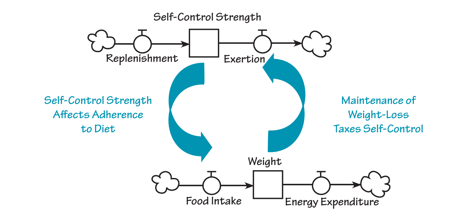 DIETING REGULATION SYSTEM