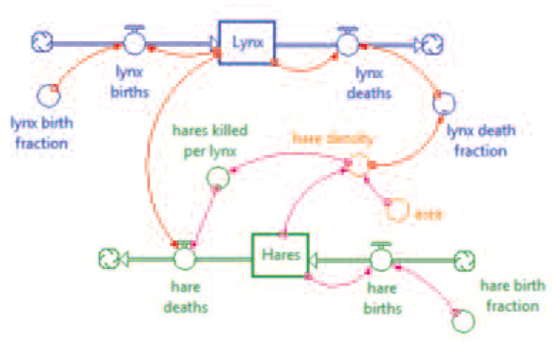 connected the Lynx population with hare deaths