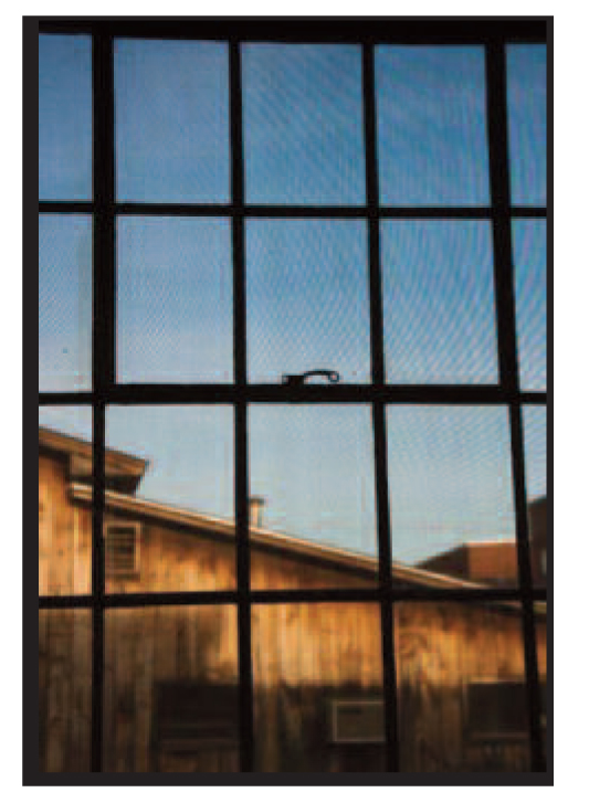 that would evoke interesting conversations