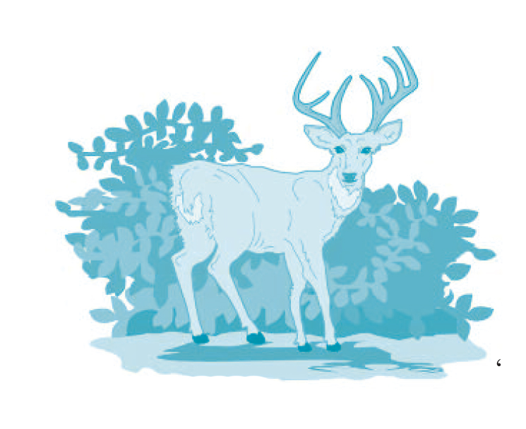 under the impression that our brain