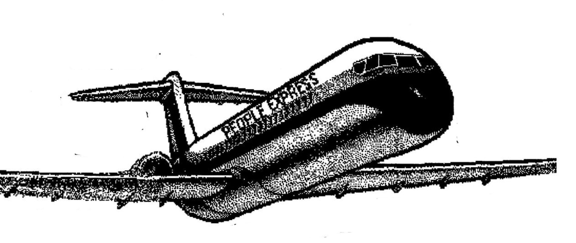 you have assembled everything needed to make this new airline fly